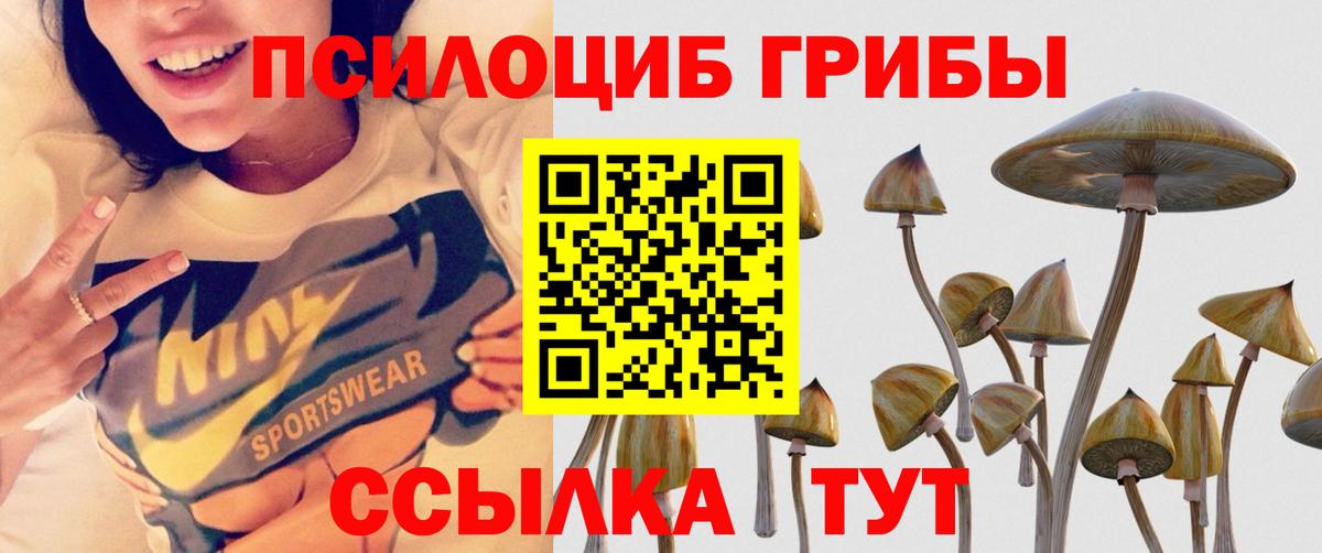 Псилоцибиновые грибы мухоморы  Вход с VPN  Ачхой-Мартан 